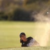 루키 유해란, LPGA 데뷔전 우승 불발... 안나린·고진영 톱5 진입