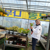 송가인, 꽃시장 간 꽃!..큐티&발랄 매력 방출