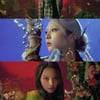 "아직 널 원해"..카드, 아무도 가질 수 없는 'Without You'[6시★살롱]