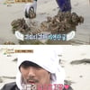 '안다행' KCM, 갯벌서 자연산 굴 먹고 당황 "너무 짠데?"