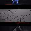 방탄소년단 슈가 'D-DAY' 글리치 필름..독특한 영상미 눈길