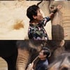 '걸환장' 이연복, "코끼리 입양할까 봐"..박나래 적극 권장