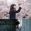 '남은 인생 10년' 고마츠 나나X사카쿠치 켄타로, 6월 내한 확정 [공식]