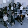 세븐틴 'FML', 美 '빌보드 200' 2위+4개 차트 1위 정상