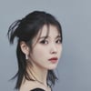 아이유 측 "일부 세력, 아티스트 흠집 위한 고발..책임 물을 것"[전문]