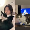 정호연, '9년 열애' ♥이동휘 반려묘 안고 '하트 폭발'