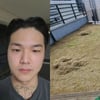 캡, 틴탑 탈퇴 후 막노동 근황.."벌초 필요하면 연락 달라"[스타이슈]