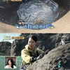 '안다행' 든든한 브라이언, 거침없는 맨손 낚시 '감탄'[별별TV]