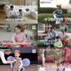 강경준 子 생애 첫 용돈 벌기→사유리 子 '전국노래자랑' 도전 [슈돌][종합]