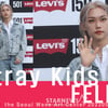 스트레이 키즈 필릭스 '진과 찰떡이네!'[★영상]