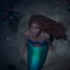 '인어공주' 할리 베일리, 검은 인어가 선사한 마법②