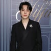 "방탄소년단 지민은 '레드카펫 킹'!" 美매거진
