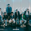 스트레이키즈 정규3집 선주문 493만 찍었다..K팝 새역사[종합]