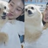 "연예인이라고 함부로 입양 NO" 노제, 갑질 논란 후 유기견 가족됐다[스타이슈]