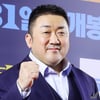 마동석, 할리우드 영화 제작→故 설리 유작 공개 임박 [위클리 무비]