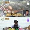 '안다행' 안정환, 촌장위엄 보이며 '문어 포획' 성공[별별TV]