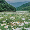 [행정척척박사]48. 로컬시대, 변화시킬 사람-조직 중요