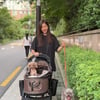 김준희 "기적이 일어났어요" 반려견 목 상처 그대로 '충격'