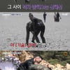 '결혼 전쟁' 격투기 선수 홍준영, 갯벌 육탄전서 매너지켰다→생존 실패[★밤TView]