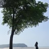 윤진서, 결혼 6년만 임신 발표 "태교 中..축하해주세요"[전문]