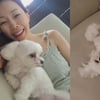 '홍성흔♥' 김정임, 마음도 예쁜 재테크 여왕 "학대 NO"