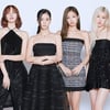 '구단선'이 뭐길래..블랙핑크에 불똥, 베트남서 불매운동 확산 [스타이슈]