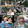 '나혼산' 김광규, 푸바오 실물 영접..'핫'한 수중 EDM 클럽 방문[종합]