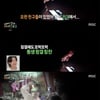 '태계일주2' 기안84, 자다가도 동생 걱정.."잠꼬대 발음 좋네"
