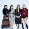'구단선' 불똥 튄 블랙핑크, 베트남 공연 무산 위기 넘겼다 [스타이슈]