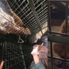 "동물학대 수준"..황정음, 뼈 드러난 동물원 사자 전시→비난 폭주  [스타이슈]