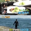 '안다행' 정호영, 성훈·양치승·초아 해루질 실력에 "납품해도 될 정도" [★밤TView]