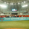 '여자부 신설' 2023 딜라이브컵 생활체육 야구대회, 19일 개최
