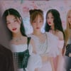 연예계 '그알'에 뿔났다..한매연 "공정성·공익성 상실, 사과하라"[전문]