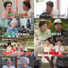 김영옥, '응삼이' 故박윤배 그리움..AI 재현 때 오열 [회장님네 사람들]
