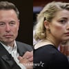 "잔인한 관계" 일론 머스크, 앰버 허드와 과거 열애 언급[★할리우드]