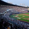 '1위 LG, 100만 관중 유일 돌파' 2023 KBO 리그 700만 관중 초읽기