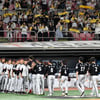 LG, 대망의 페넌트레이스 우승까지 '매직넘버 1' ... 내일(3일) 집에서 축배 들까, '2위' KT 잡고 2연승 [수원 현장리뷰]