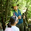 강원랜드 '100대 명품숲'.'명품숲길 50선' 선정