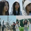 르세라핌, 제주 숲 풍경에 당혹 "말라죽어 안쓰럽다"[지구 위 블랙박스]
