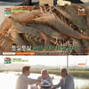 '회장님네' 김용건 "'꽃할배' 쿠바 못가..나영석이 '삼시세끼' 하느라"  [별별TV]