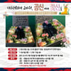 ‘GOODBYE 김천 6기’ 김천상무, 여심저격 창단 첫 꽃신 이벤트 사연 모집