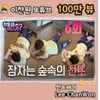 '인생은 찬원처럼♥' 이찬원 '찬또야 어디가' 6회 100만뷰