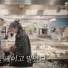한효주, 손질하다 손 베고 병원行→박병은 투입 '찐행복 경력직'[어쩌다 사장3][★밤TView]