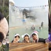 아침엔 푸바오, 낮엔 스파 캐비, 저녁엔 불꽃놀이...에버랜드 1석 3조 이벤트