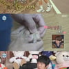 기안84, 마라톤 후 떨어진 발톱→다시 얹어 테이핑 '경악' [별별TV][나혼산]