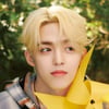 세븐틴 에스쿱스, 유기동물 위해 5000만원 기부..따뜻한 선행 [공식]