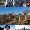 '태계일주3' 덱스 "이게 내가 원했던 것" 바오밥 애비뉴 절경 '황홀'
