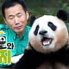 푸바오 할아버지, 애꿎은 악플 피해..에버랜드 측 "지나친 비난 우려"