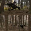 고꾸라진 말 사망..'태종 이방원', 벌금 1천만원