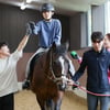 마사회-연세대, "치유와 회복-재활승마"봉사과목 개설